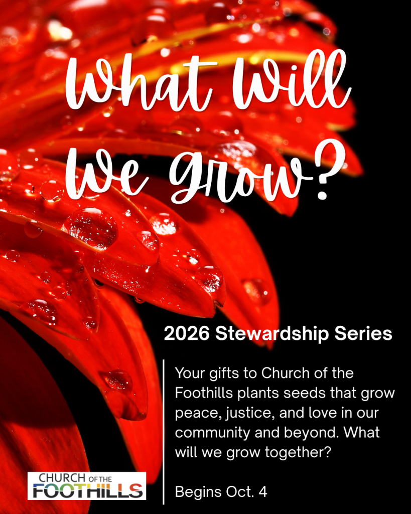 a red flower, glistening with water, and bold words that ask, What will we grow? The graphic announces a new sermon series for October inviting us to grow a love-centered community and church together through our gifts.